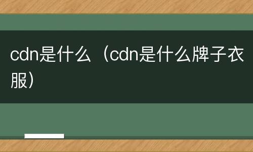 cdn是什么（cdn是什么牌子衣服）