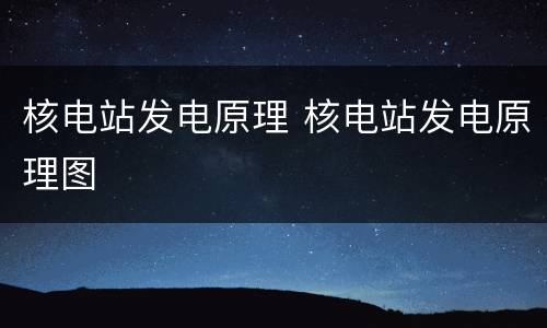 核电站发电原理 核电站发电原理图