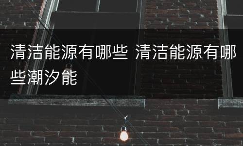 清洁能源有哪些 清洁能源有哪些潮汐能