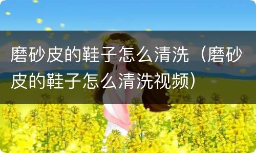 磨砂皮的鞋子怎么清洗（磨砂皮的鞋子怎么清洗视频）