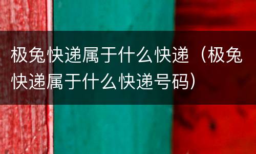 极兔快递属于什么快递（极兔快递属于什么快递号码）