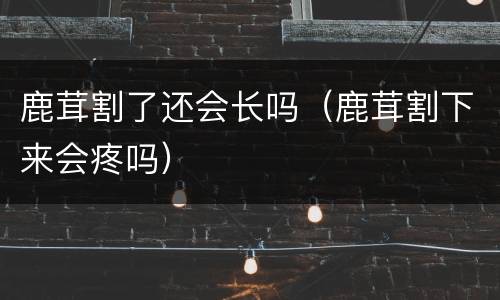 鹿茸割了还会长吗（鹿茸割下来会疼吗）