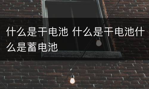 什么是干电池 什么是干电池什么是蓄电池