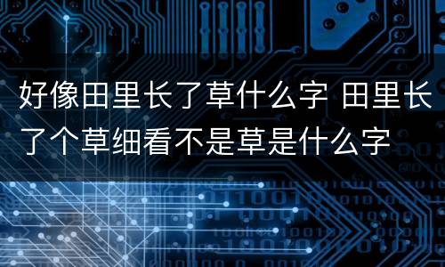 好像田里长了草什么字 田里长了个草细看不是草是什么字
