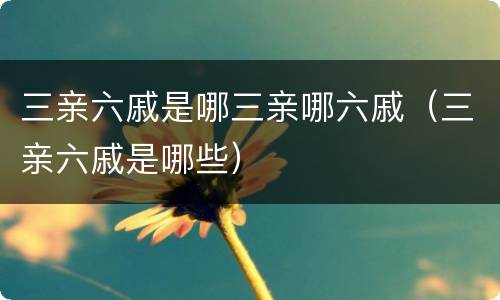 三亲六戚是哪三亲哪六戚（三亲六戚是哪些）