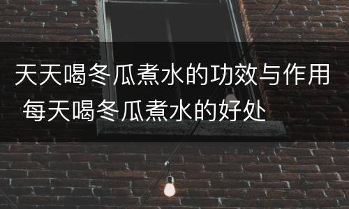 天天喝冬瓜煮水的功效与作用 每天喝冬瓜煮水的好处