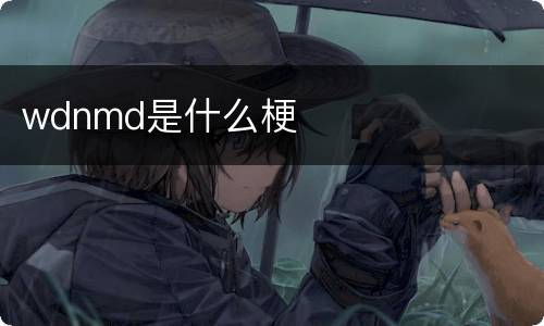 wdnmd是什么梗