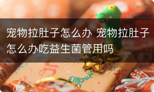 宠物拉肚子怎么办 宠物拉肚子怎么办吃益生菌管用吗