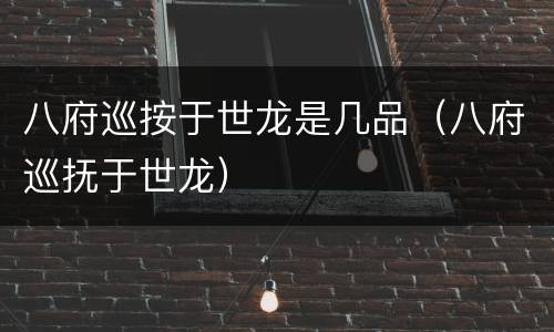 八府巡按于世龙是几品（八府巡抚于世龙）