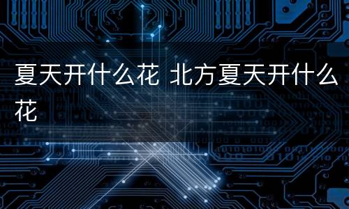 夏天开什么花 北方夏天开什么花
