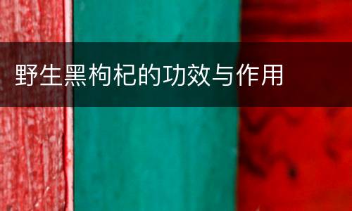 野生黑枸杞的功效与作用