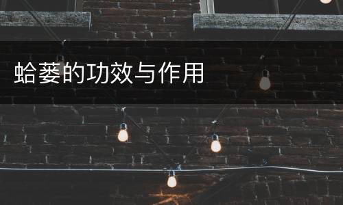 蛤蒌的功效与作用