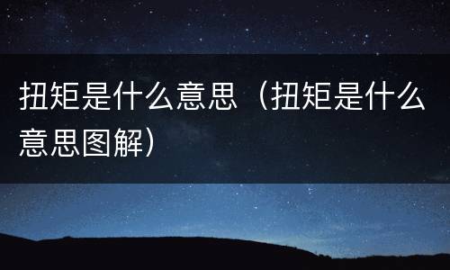 扭矩是什么意思（扭矩是什么意思图解）