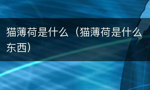 猫薄荷是什么（猫薄荷是什么东西）