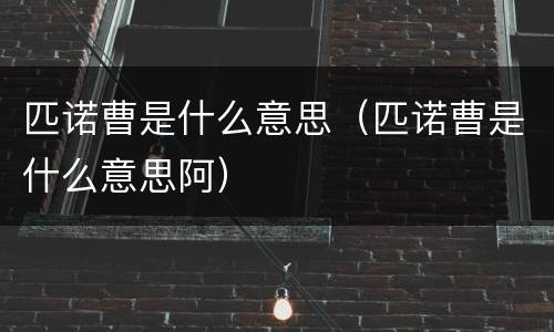 匹诺曹是什么意思（匹诺曹是什么意思阿）