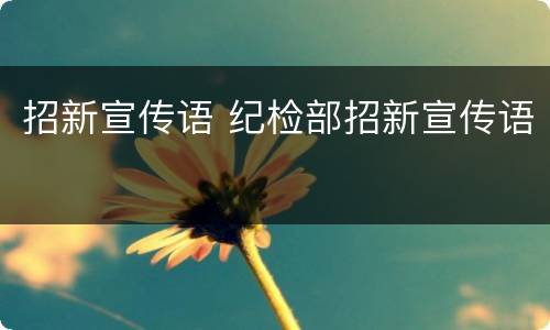 招新宣传语 纪检部招新宣传语