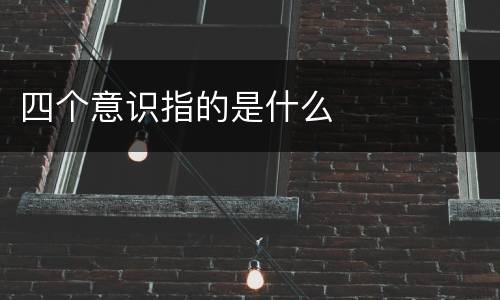 四个意识指的是什么