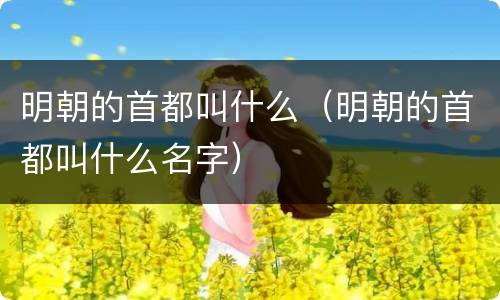 明朝的首都叫什么（明朝的首都叫什么名字）