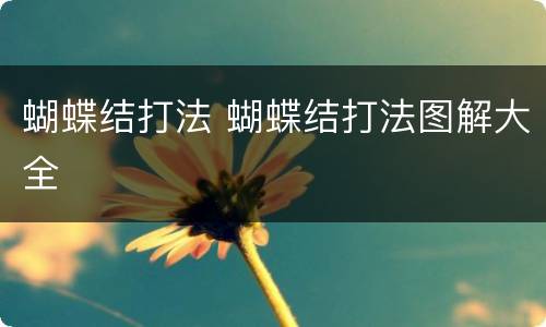 蝴蝶结打法 蝴蝶结打法图解大全