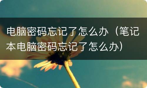 电脑密码忘记了怎么办（笔记本电脑密码忘记了怎么办）
