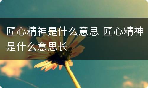 匠心精神是什么意思 匠心精神是什么意思长