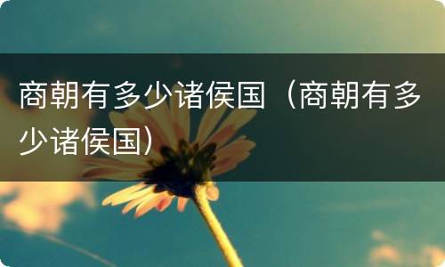 商朝有多少诸侯国（商朝有多少诸侯国）