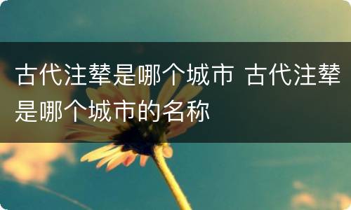 古代注辇是哪个城市 古代注辇是哪个城市的名称