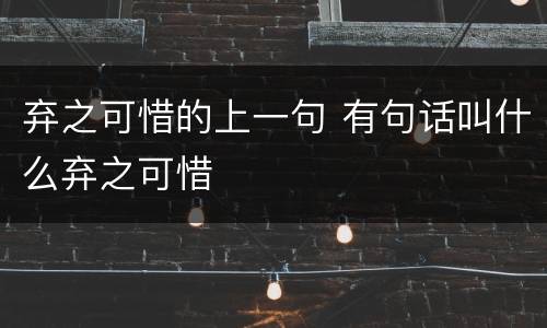 弃之可惜的上一句 有句话叫什么弃之可惜