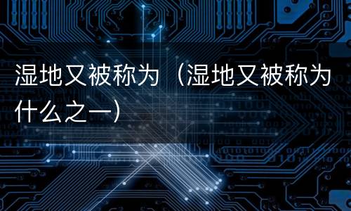 湿地又被称为（湿地又被称为什么之一）