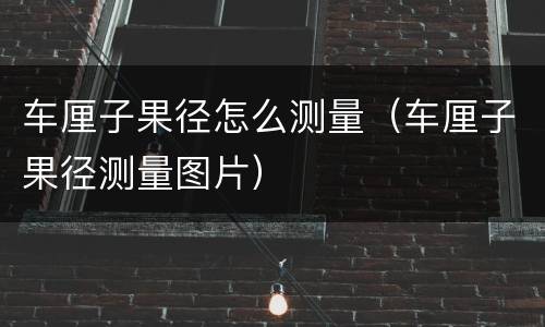 车厘子果径怎么测量（车厘子果径测量图片）