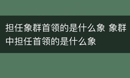担任象群首领的是什么象 象群中担任首领的是什么象