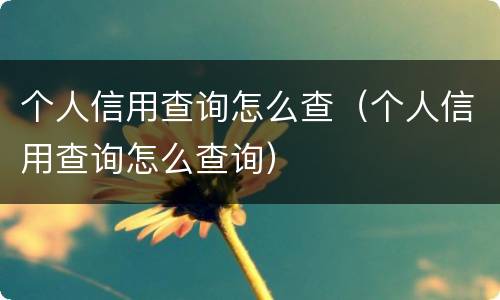 个人信用查询怎么查（个人信用查询怎么查询）