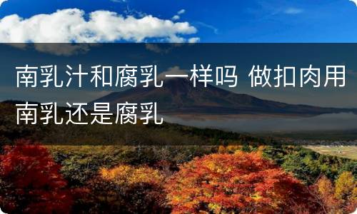南乳汁和腐乳一样吗 做扣肉用南乳还是腐乳