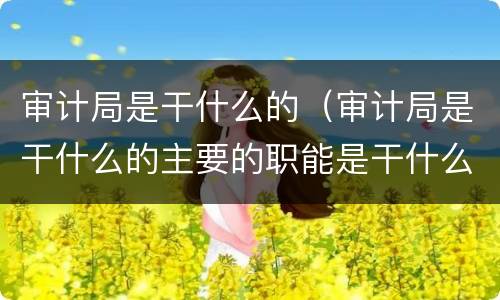 审计局是干什么的（审计局是干什么的主要的职能是干什么的）