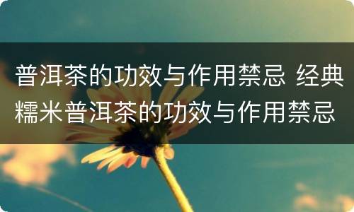 普洱茶的功效与作用禁忌 经典糯米普洱茶的功效与作用禁忌