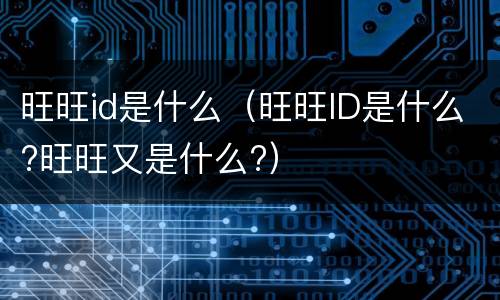 旺旺id是什么（旺旺ID是什么?旺旺又是什么?）