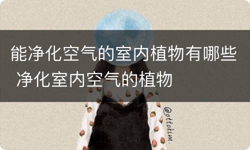 能净化空气的室内植物有哪些 净化室内空气的植物