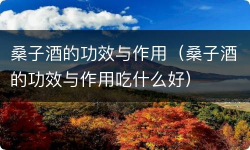 桑子酒的功效与作用（桑子酒的功效与作用吃什么好）