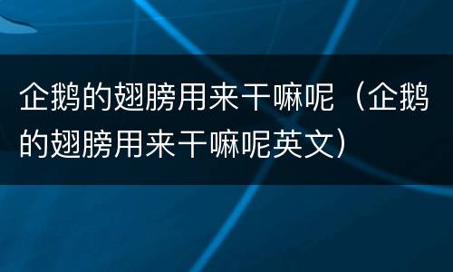 企鹅的翅膀用来干嘛呢（企鹅的翅膀用来干嘛呢英文）