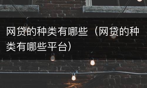 网贷的种类有哪些（网贷的种类有哪些平台）