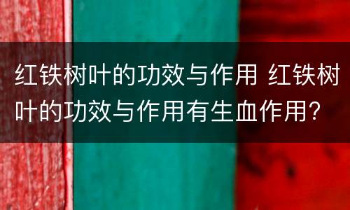 红铁树叶的功效与作用 红铁树叶的功效与作用有生血作用?