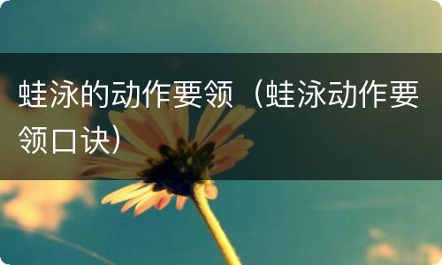 蛙泳的动作要领（蛙泳动作要领口诀）