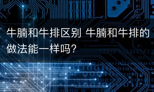 牛腩和牛排区别 牛腩和牛排的做法能一样吗?