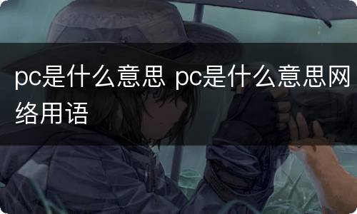 pc是什么意思 pc是什么意思网络用语
