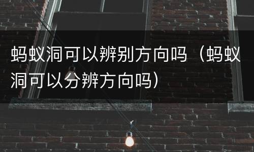 蚂蚁洞可以辨别方向吗（蚂蚁洞可以分辨方向吗）
