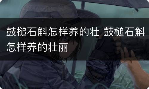 鼓槌石斛怎样养的壮 鼓槌石斛怎样养的壮丽