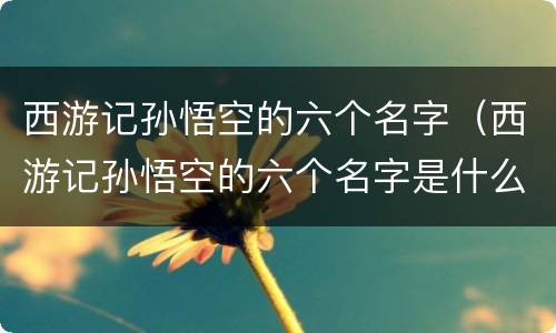 西游记孙悟空的六个名字（西游记孙悟空的六个名字是什么）