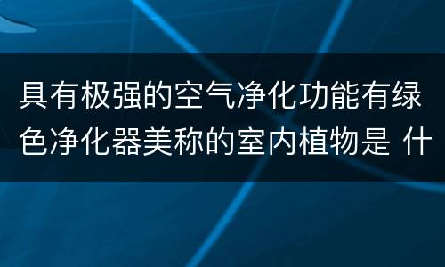 具有极强的空气净化功能有绿色净化器美称的室内植物是 什么植物被称为绿色净化器