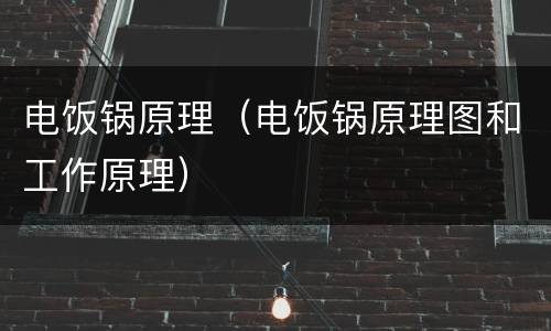 电饭锅原理（电饭锅原理图和工作原理）