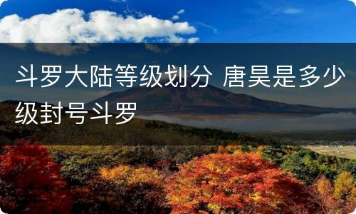 斗罗大陆等级划分 唐昊是多少级封号斗罗